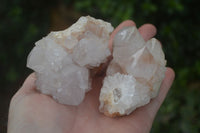 Natural White Spirit Quartz Clusters  x 6 From Boekenhouthoek, South Africa - Toprock Gemstones and Minerals 