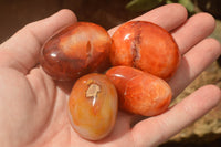 Polished Mini Carnelian Agate Palm Stones  x 35 From Madagascar - TopRock