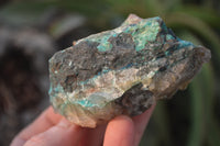 Natural Blue Shattuckite Specimens x 12 From Kaokoveld, Namibia