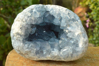 Natural Classic Blue Celestite Geode With Semi Optic Crystals  x 1 From Madagascar - TopRock