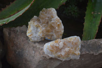 Natural Golden Limonite Quartz Clusters x 24 From Zambia