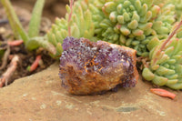 Natural Dark "Amethystos" Amethyst Clusters  x 12 From Kwaggafontein, South Africa - TopRock