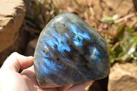 Polished Labradorite Standing Free Forms With Blue & Gold Flash  x 2 From Tulear, Madagascar - TopRock