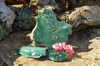 Polished Green Mtorolite Plates x 3 From Zimbabwe - TopRock