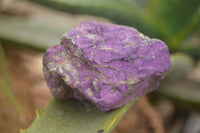 Natural Selected Purpurite Cobbed Specimens  x 9 From Namibia - TopRock