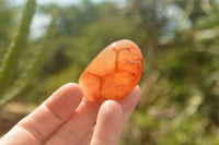 Polished Mini Carnelian Agate Palm Stones  x 35 From Madagascar - TopRock