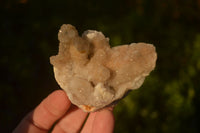 Natural Pale Spirit Quartz Clusters x 12 From Boekenhouthoek, South Africa