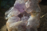 Natural Jacaranda Amethyst Cluster x 1 From Mumbwa, Zambia - TopRock