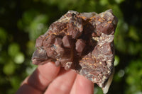 Natural Red Hematoid Quartz Specimens x 12 From Karoi, Zimbabwe