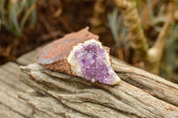 Natural Amethyst & Basalt Geode Specimens  x 12 From Zululand, South Africa - TopRock