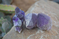 Natural Dark Amethyst Crystal Clusters x 12 From Zambia