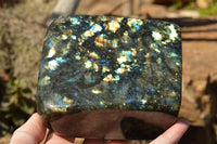 Polished Labradorite Standing Free Form With Spotted Blue & Gold Flash x 1 From Sakoany, Madagascar - TopRock