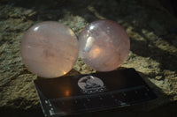 Polished Rare Star Rose Quartz Spheres  x 6 From Ambatondrazaka, Madagascar - Toprock Gemstones and Minerals 