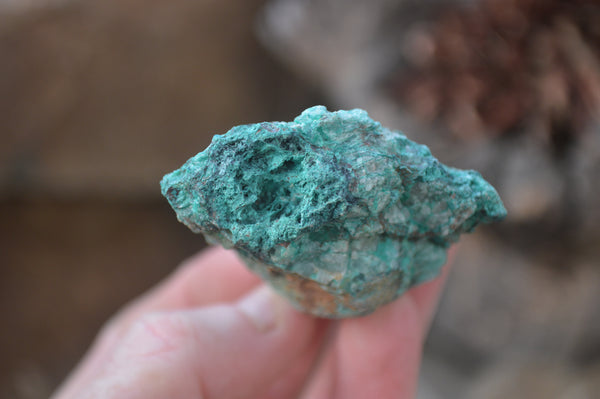 Natural Blue Shattuckite Specimens x 12 From Kaokoveld, Namibia