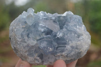 Natural Blue Celestite Crystal Specimens  x 2 From Sakoany, Madagascar - Toprock Gemstones and Minerals 