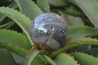 Polished Polychrome Jasper Spheres  x 2 From Mahajanga, Madagascar