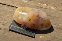 Polished Semi Translucent Dendritic Agate Standing Free Forms  x 2 From Moralambo, Madagascar - TopRock