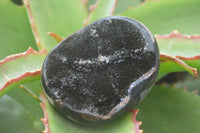 Polished Septaria Nodule Free Forms x 6 From Mahajanga, Madagascar