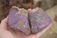 Natural Selected Purpurite Cobbed Specimens  x 9 From Namibia - TopRock