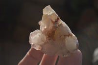 Natural Red Hematoid Quartz Specimens x 12 From Karoi, Zimbabwe