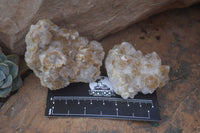 Natural Golden Limonite Quartz Clusters x 24 From Zambia