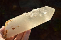 Natural Single Large Quartz Crystals  x 2 From Mandrosonoro, Madagascar - TopRock