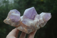 Natural Jacaranda Amethyst Crystal Clusters  x 3 From Mumbwa, Zambia - Toprock Gemstones and Minerals 