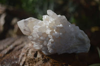 Natural Cascading Window Quartz Crystal Formations  x 6 From Madagascar - Toprock Gemstones and Minerals 