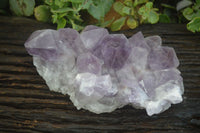 Natural Large Jacaranda Amethyst Crystal Cluster  x 1 From Mumbwa, Zambia - Toprock Gemstones and Minerals 