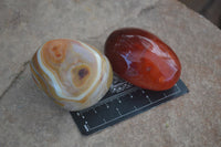 Polished Stunning Carnelian Agate Palm Stones  x 6 From Madagascar - Toprock Gemstones and Minerals 