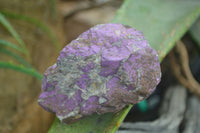 Natural Metallic Purpurite Cobbed Specimens  x 12 From Erongo, Namibia - Toprock Gemstones and Minerals 