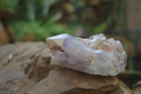 Natural Jacaranda Amethyst Clusters  x 3 From Zambia - TopRock