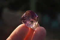 Natural Mini Smokey Amethyst Crystals  x 70 From Chiredzi, Zimbabwe - Toprock Gemstones and Minerals 