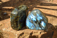 Polished Labradorite Standing Free Forms With Blue & Gold Flash  x 2 From Tulear, Madagascar - TopRock