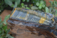 Natural Golden Blue Tigers Eye Specimens  x 2 From Prieska, South Africa - TopRock