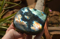 Polished Blue Flash Labradorite Standing Free Forms  x 4 From Tulear, Madagascar - TopRock