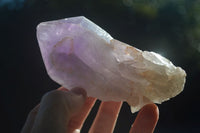 Natural Large Single Jacaranda Amethyst Crystals  x 12 From Mumbwa, Zambia - Toprock Gemstones and Minerals 