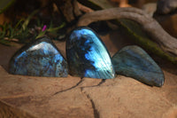 Polished Flashy Labradorite Standing Free Forms  x 6 From Tulear, Madagascar