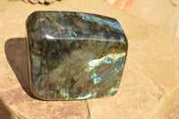 Polished Labradorite Standing Free Forms With Blue & Gold Flash  x 2 From Tulear, Madagascar - TopRock