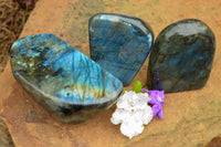 Polished Labradorite Standing Free Forms With Intense Blue & Gold Flash x 3 From Tulear, Madagascar - TopRock