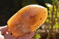 Polished Semi Translucent Dendritic Agate Standing Free Forms  x 2 From Moralambo, Madagascar - TopRock