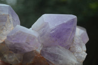 Natural Jacaranda Amethyst Crystal Clusters  x 3 From Mumbwa, Zambia - Toprock Gemstones and Minerals 