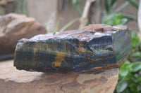 Natural Golden Blue Tigers Eye Specimens  x 2 From Prieska, South Africa - TopRock