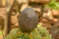 Polished Large Morion Smokey Quartz Eggs x 4 From Madagascar - TopRock