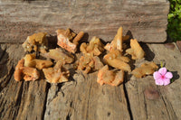 Natural Golden Limonite Fairy Spirit Quartz Finger Clusters x 35 From Boekenhouthoek, South Africa - TopRock