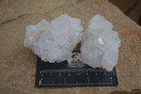 Natural White Spirit Quartz Clusters  x 6 From Boekenhouthoek, South Africa - Toprock Gemstones and Minerals 