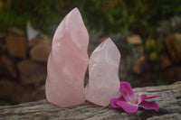 Polished Gemmy Pink Rose Quartz Flames  x 2 From Ambatondrazaka, Madagascar - TopRock