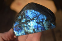 Polished Flashy Labradorite Standing Free Forms  x 6 From Tulear, Madagascar