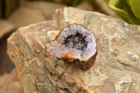 Natural Amethyst & Basalt Geode Specimens  x 12 From Zululand, South Africa - TopRock