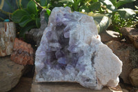 Natural Jacaranda Amethyst Cluster x 1 From Mumbwa, Zambia - TopRock